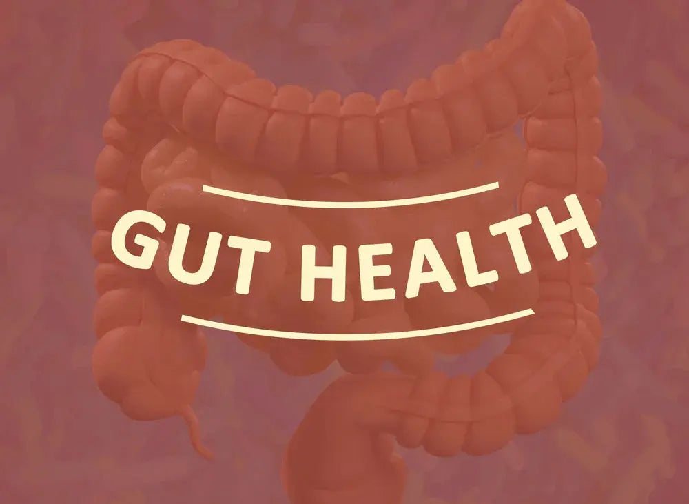 10 Ways to Improve Your Gut Health Naturally